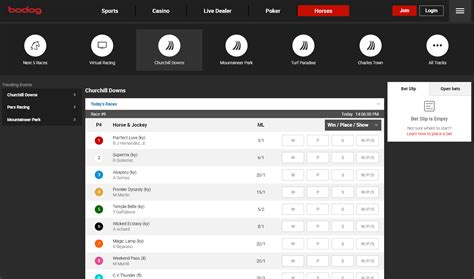 bodog sports nfl|Bodog Review for 2021 .
